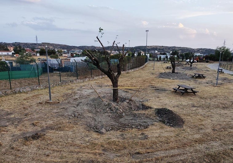 Las moreras de las Angustias se llevan a la charca Mayen